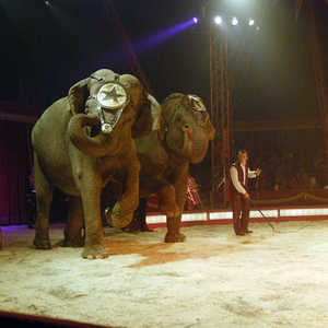 Wonderful World 2007